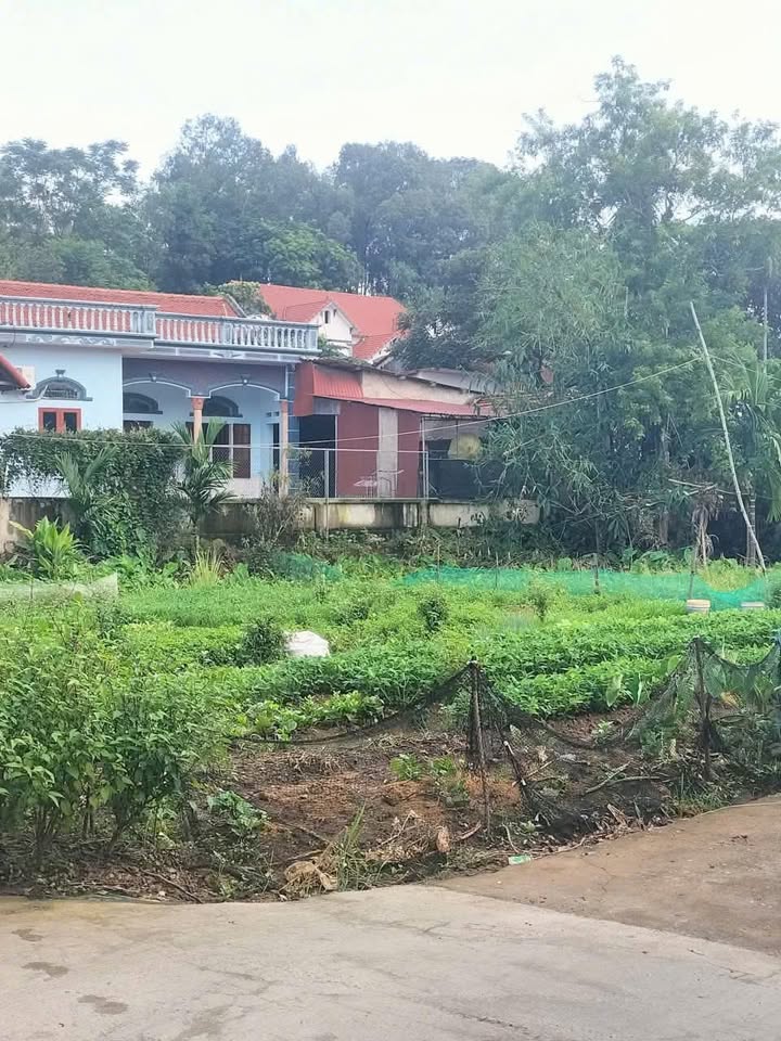 Đất nền 2 mặt tiền Lão Hộ 148m² - Vị trí vàng, kinh doanh đỉnh!