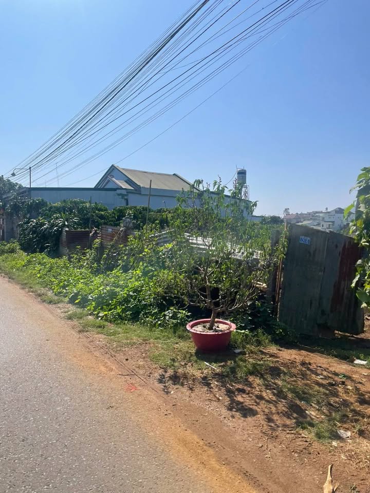 Đất nền Mặt tiền Lê Quý Đôn Bảo Lộc 75m² - Sổ hồng thổ cư