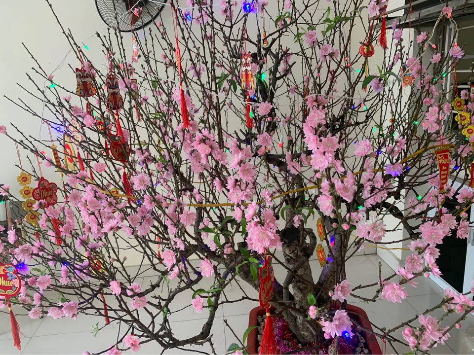 Nhà Ngõ Tô Hiệu, Lê Chân - 45m² Sổ Đỏ Chính Chủ, Giá 1.79 Tỷ