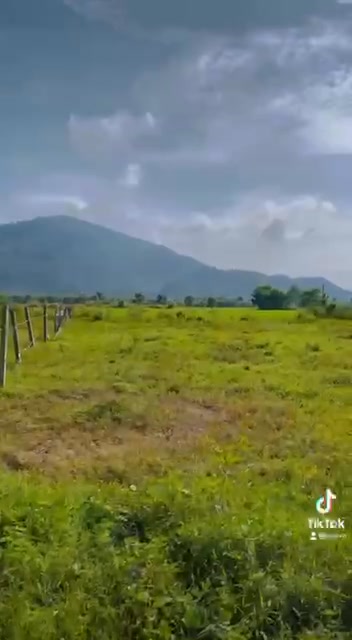 Đất Nền 360m² View Núi Xuân Phú, Đồng Nai - Sổ Đỏ Cây Lâu Năm