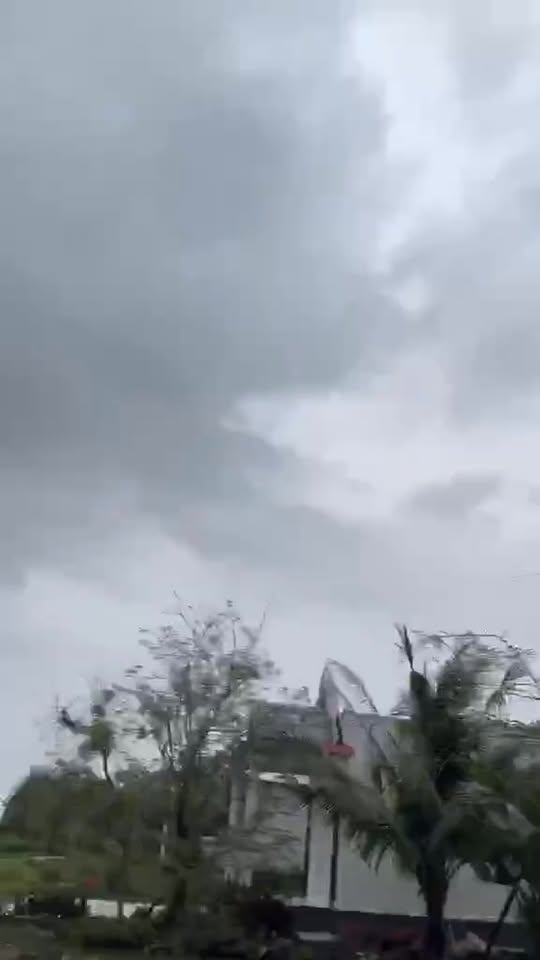 Đất nền Tam Giang Cà Mau 25 công 1.725 tỷ - Sổ đỏ chính chủ