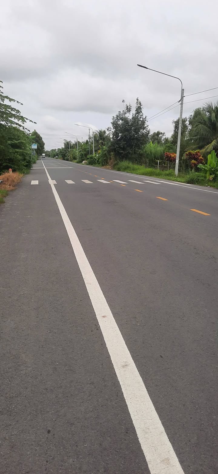 Bán Đất Vườn Cần Thơ 2700m² Mặt Tiền TL919, Thới Lai - Giá 6.2 Tỷ