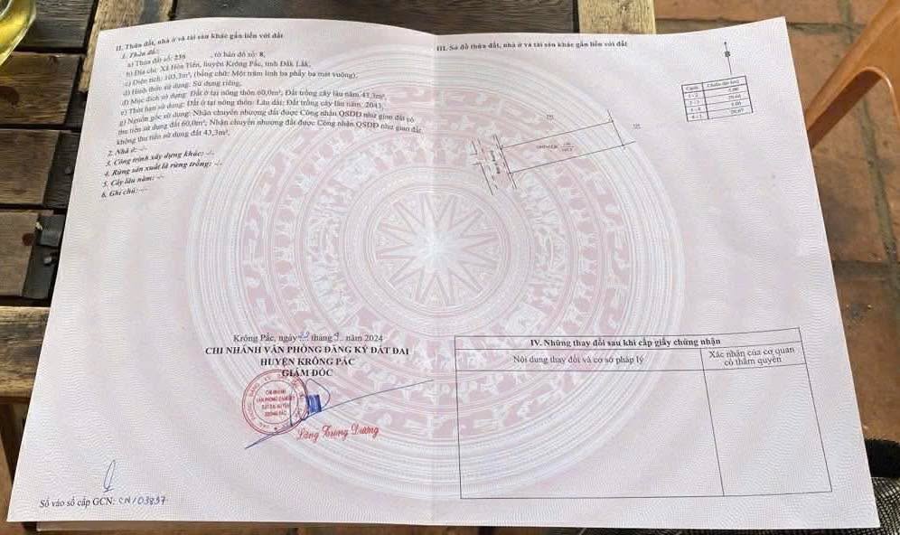 Đất nền Hòa Vang 115m² Đà Nẵng - Tiềm năng tăng giá vượt trội!