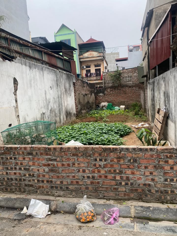 Đất nền Vĩnh Ngọc Đông Anh 56m² - Tiềm năng tăng giá vượt trội!