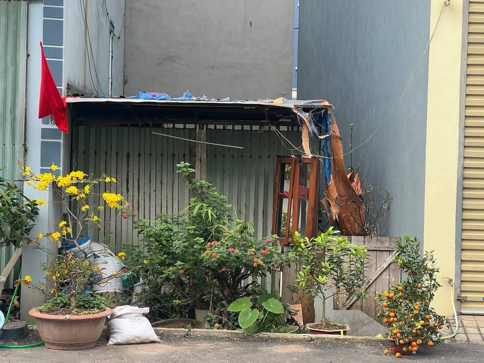 Đất nền Di Trạch 50m² Hoài Đức - Giá tốt hiếm có!