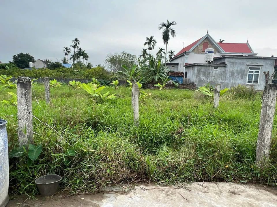 Bán Đất Nền An Lão 90m² - Sổ Đỏ Chính Chủ, Gần KCN Tràng Duệ