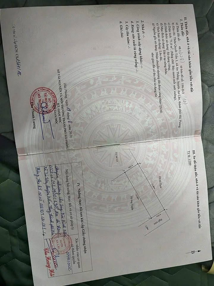 Đất Nền An Lão, Hải Phòng 71m² - Sổ Đỏ Sẵn Sàng, Đầu Tư Sinh Lời