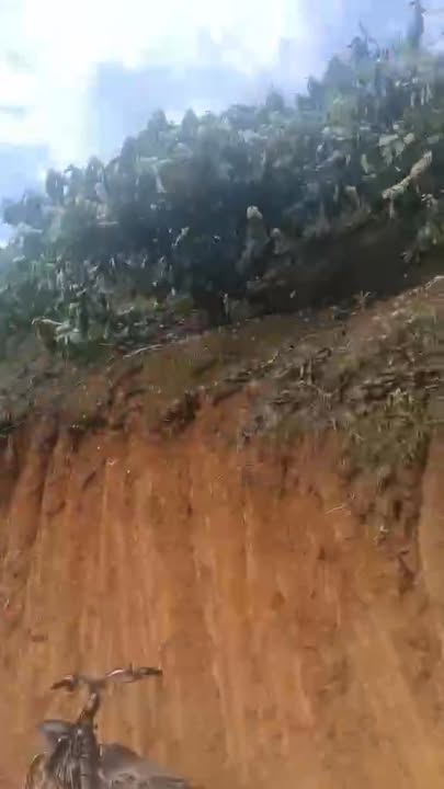 Bán Đất Vườn Đam Rông 10.000m² - Giá Đầu Tư 1.2 Tỷ, Sẵn Sổ Hồng