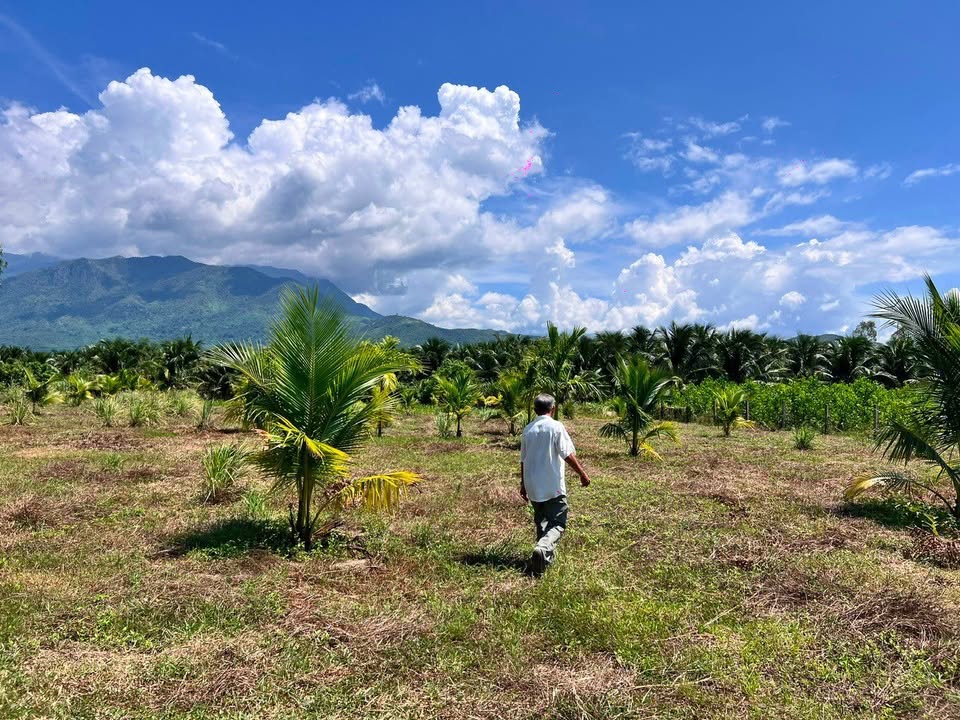 Đất nền Vĩnh Tri, Diên Khánh 4000m² - Sổ đỏ chính chủ