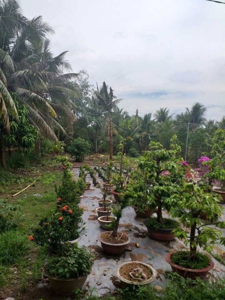 Đất nền Hưng Phú Cần Thơ 1013m² giá 9 tỷ - Tiềm năng tăng giá!