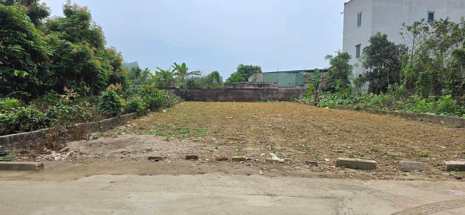 Đất Nền Hòa Lạc 200m² - Gần Ga Metro 5, Sẵn Sàng Đầu Tư