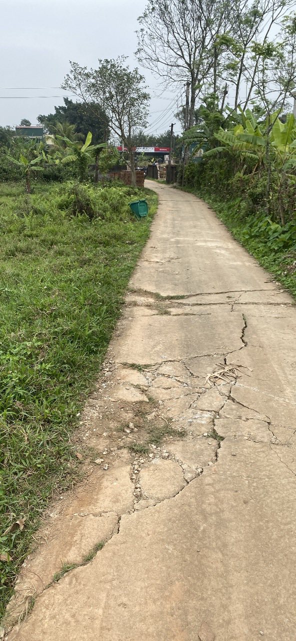 Đất Nền Cồn Ngang Hậu Lộc - 200m² Mặt Tiền 8m - Giá Đầu Tư