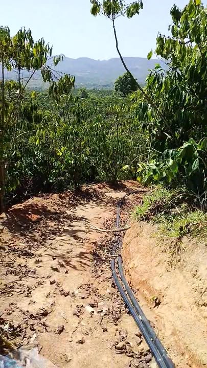 Đất Nền Di Linh, Lâm Đồng 1.5 tỷ - Pháp lý rõ ràng, Sẵn nhà ở!