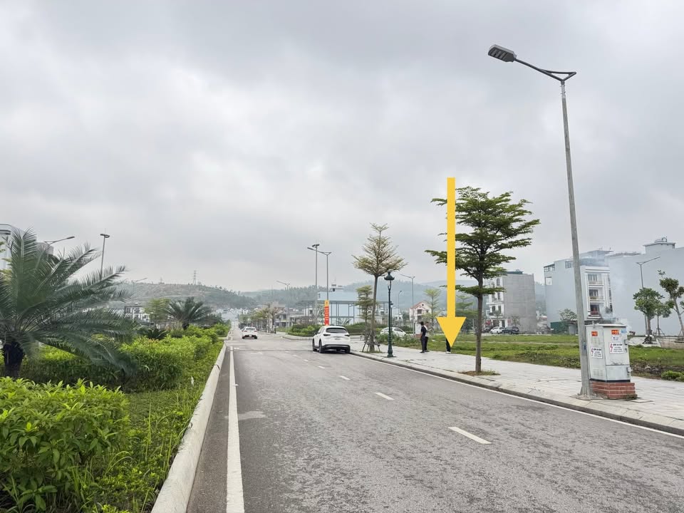 Đất Lideco Hạ Long 90m² - Góc Vườn Hoa, Kinh Doanh Sầm Uất