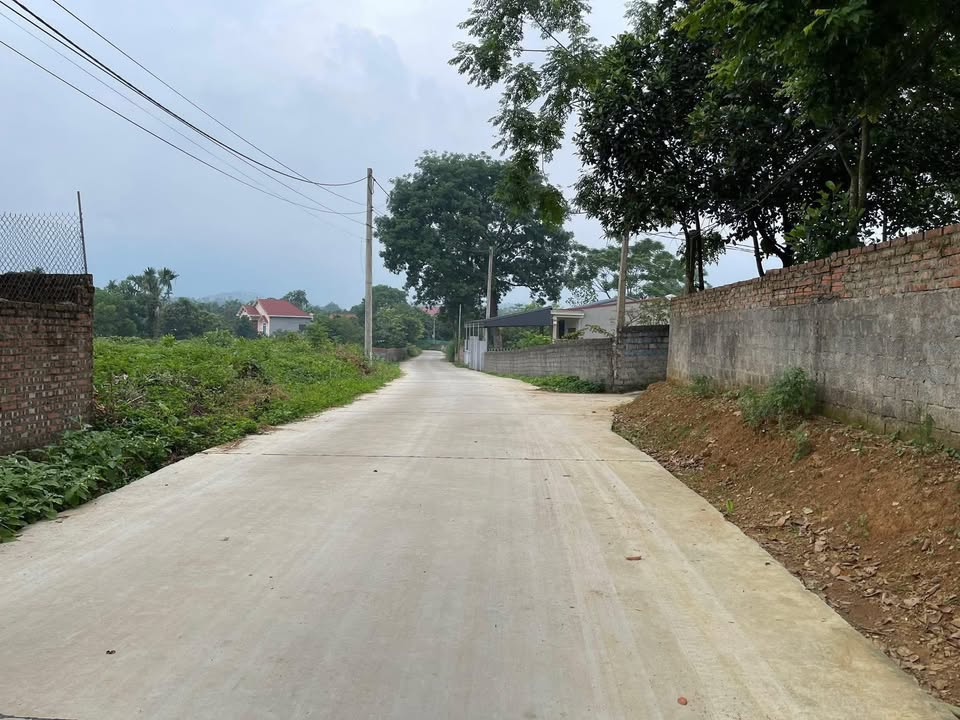 Đất Nền Phong Thịnh, Cẩm Khê 659m² Full Thổ Cư - Đầu tư sinh lời cao