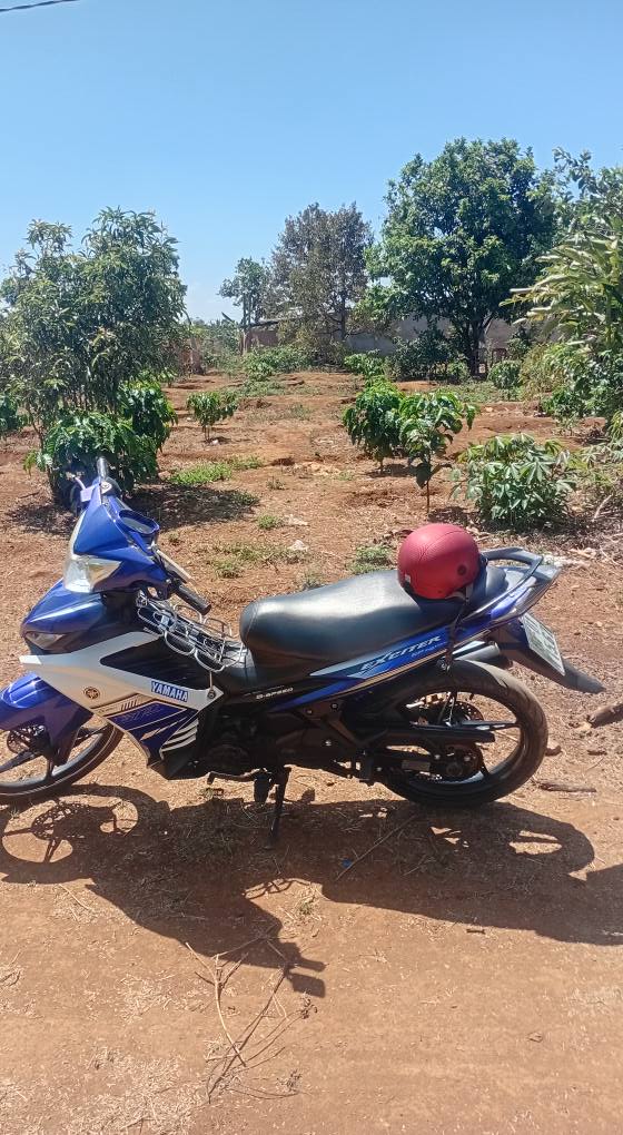 Đất Nền Nghĩa Hưng, Nam Định 300m² - Sổ Đỏ Sẵn Sàng