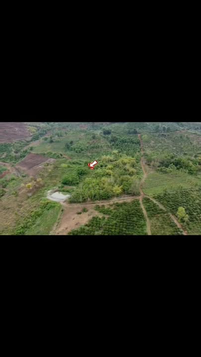 Bán Gấp Đất Vườn 3ha Xã Nâm Nung, Đắk Nông - Giá Đầu Tư 1.6 Tỷ