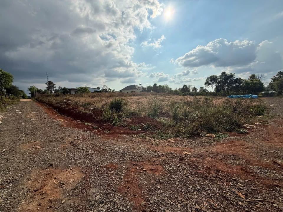 Đất nền Buôn Ma Thuột 135m² full thổ cư, giá chỉ 3xx triệu!