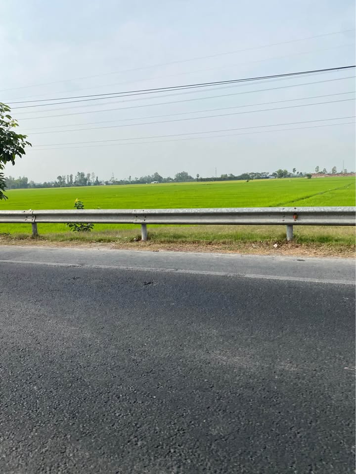 Bán Gấp Đất Mặt Tiền Phan Đình Phùng, Bảo Lộc - 499m² Kinh Doanh Sầm Uất