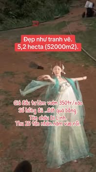 Bán 5.2ha Vườn Cà Phê Tân Châu, Di Linh - Thu nhập 25 Tấn/Năm