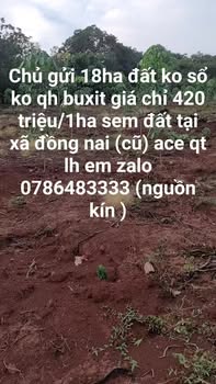 Bán Gấp 18ha Đất Rừng Xã Đồng Nai Thượng, Đạ Huoai - Giá Đầu Tư 420 Triệu/Ha