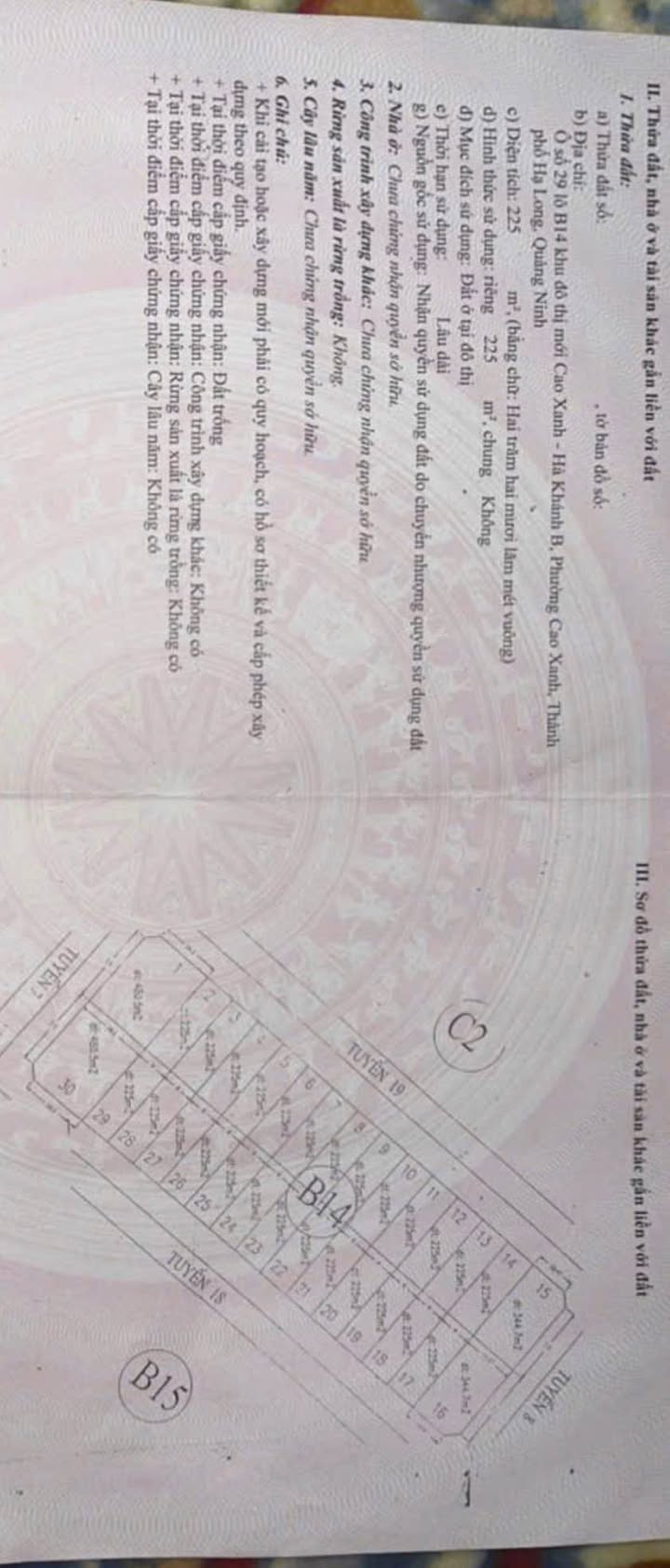 Đất nền Cẩm Phả 225m² giá 6.75 tỷ - Tiềm năng tăng giá vượt trội!