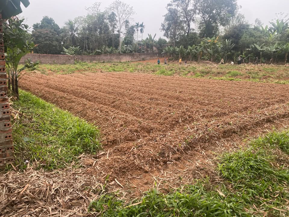 Đất Vĩnh Phúc 1160m² Sổ Đỏ Thổ Cư - Gần Khu Đấu Giá Bàn Giản