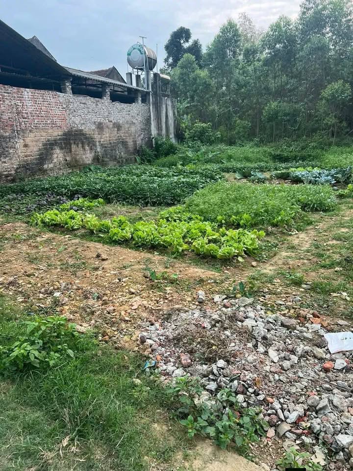 Đất nền Ngọc Thiện, Tân Yên 150m² - Tiềm năng tăng giá vượt trội!