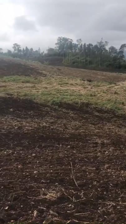 Đất Rẫy Gia Lai 2.9ha - Sổ Đỏ Chính Chủ, Giá 450 Triệu