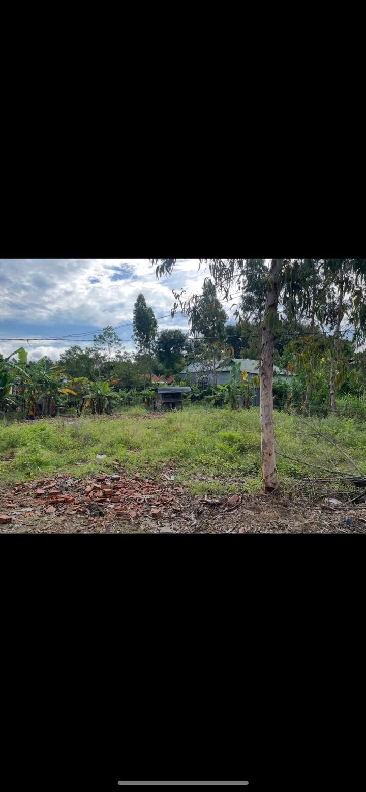 Đất nền Làng Dơn, Đăk Pơ 450m² giá 550 triệu - Xây dựng tự do!