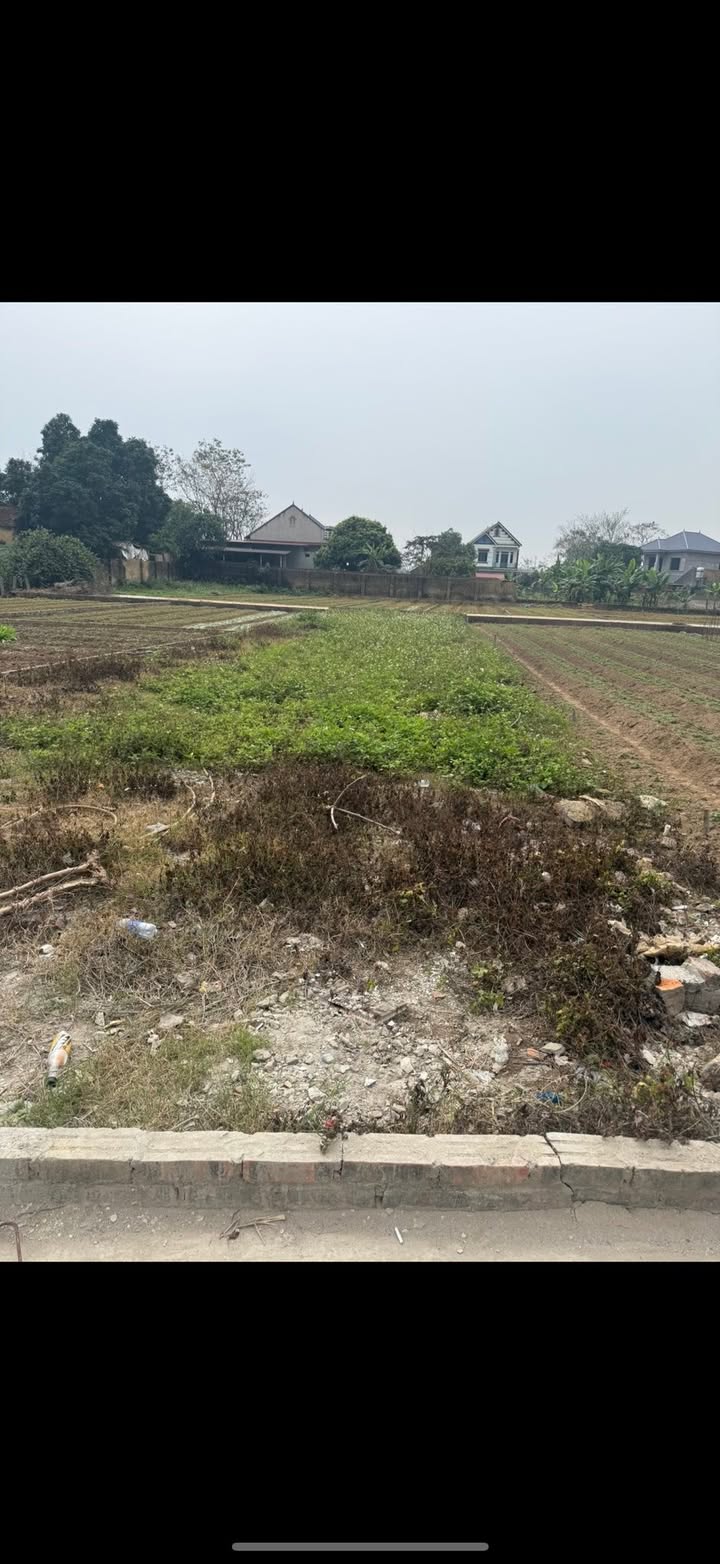 Đất Nền Ngọc Sơn, Hiệp Hòa 132m² - Mặt Tiền Rộng, Giá Chỉ Từ 5xx Triệu