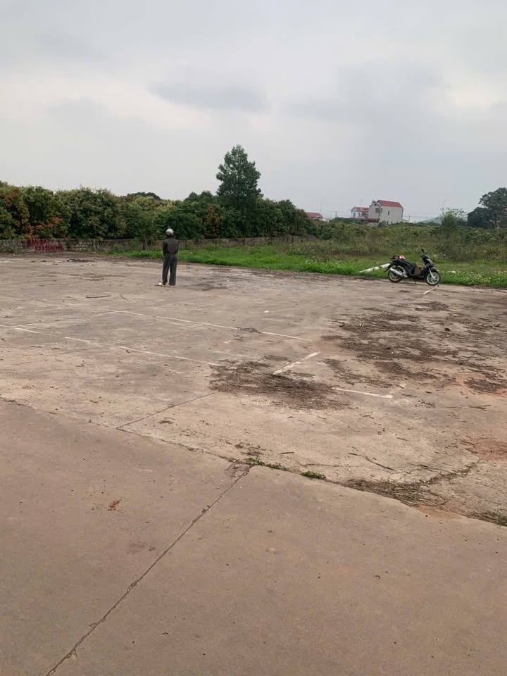 Đất nền Tiên Nha, Lục Nam 205m² chỉ 800 triệu - Giá F0 CĐT!