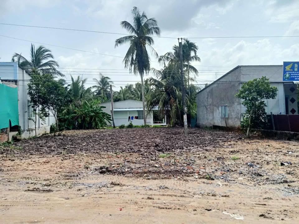 Đất Nền Trà Vinh 520 Triệu/Nền - Mặt Tiền Nhựa Gần Chợ Phú Hòa