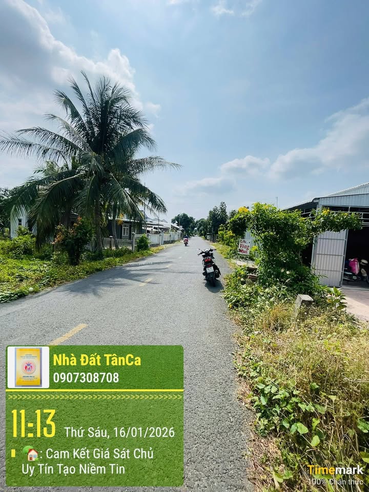 Bán Đất Lúa 1300m² Mặt Tiền Nhựa, Xã Bình Thành, Đồng Tháp - Giá Tốt