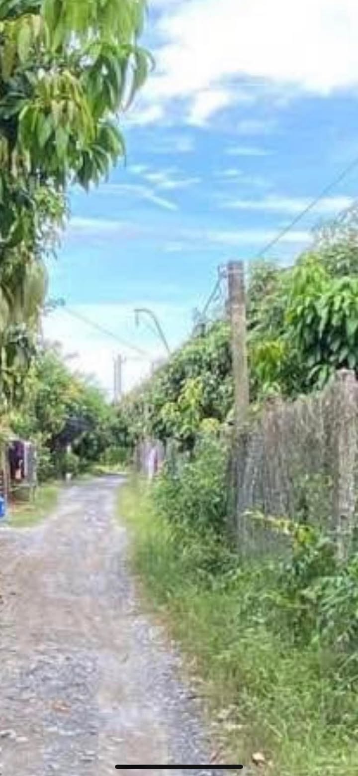 Bán Đất Vườn 739m² Đồng Tháp - Hai Mặt Tiền Đường, Sẵn Sàng Chuyển Thổ