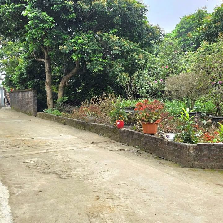 Đất nền Quốc Oai 200m² mặt tiền 10m - Tiềm năng tăng giá gần Metro 5