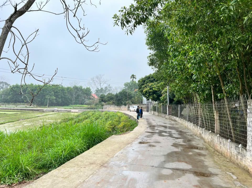 Đất nền KCN Tân Đức 233m² 0.5 tỷ - Giá tốt hiếm có