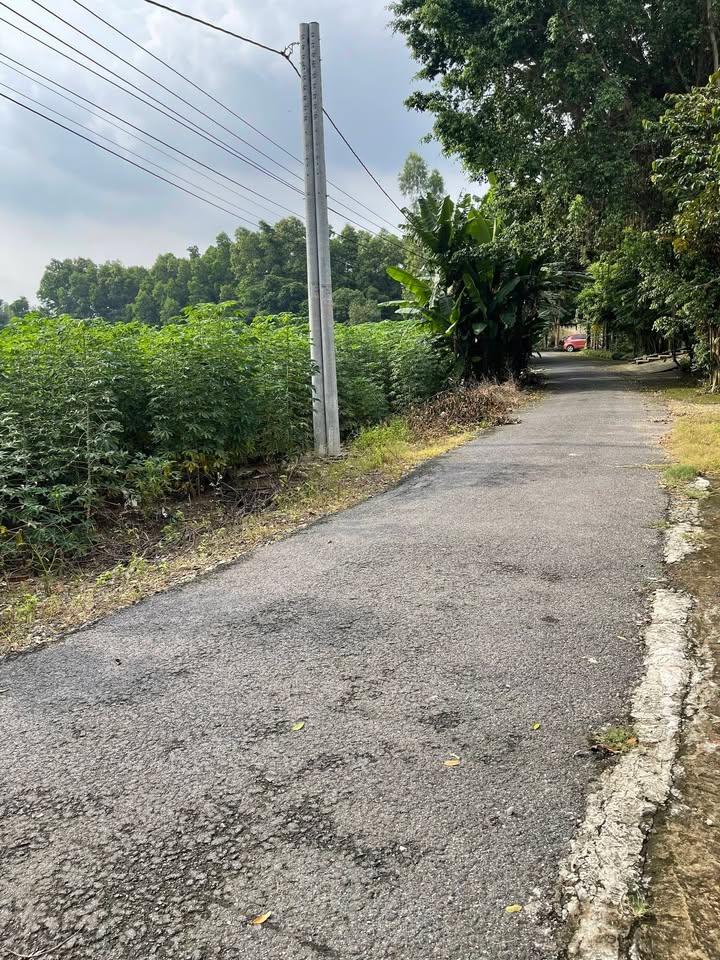 Bán Đất Vàng 2880m² Mặt Tiền Đường Nhựa Phú Mỹ, Thủ Đức - Cơ Hội Đầu Tư