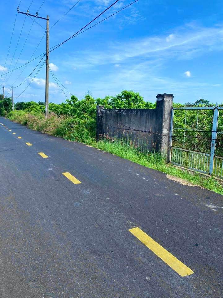 Đất Vườn Hồ Tràm 1500m² Sổ Đỏ - Đầu Tư Sinh Lời Cao