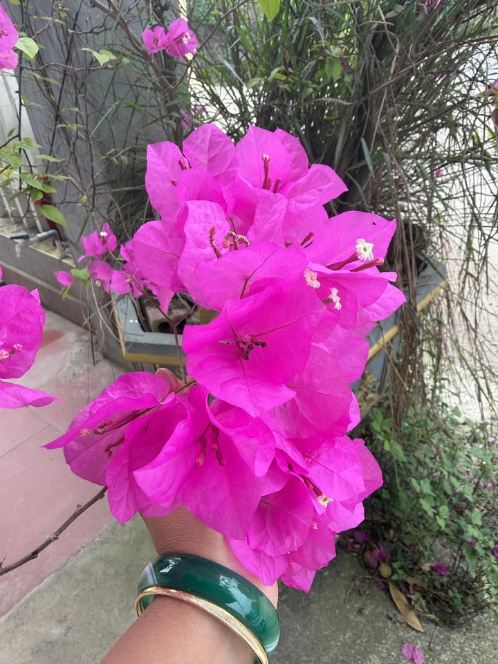 Bán Đất Hà Đông 100m² - Sổ Đỏ Riêng, Đường Oto Đỗ Cửa 550 Triệu