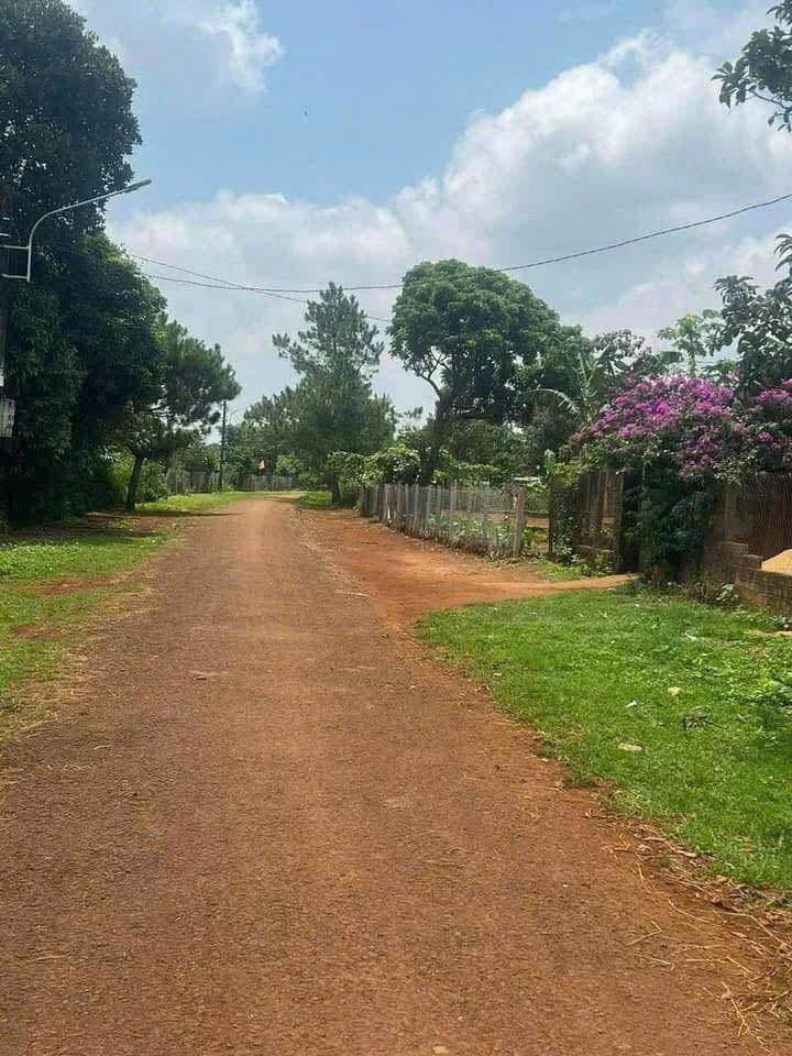 Đất Xã Gào Pleiku 168m² - Tiềm năng tăng giá vượt trội!