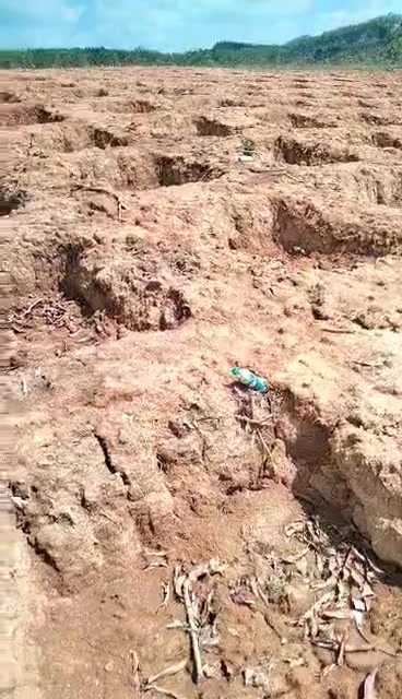 Đất Nền Gia Lai 2700m² - Sổ Đỏ Chính Chủ, Giá Đầu Tư Chỉ 300 Triệu