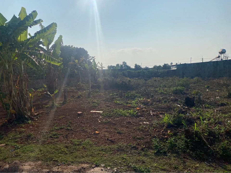 Đất Nền Biển Hồ Gia Lai - 527m² Full Thổ Cư, Hẻm Ô Tô Rộng