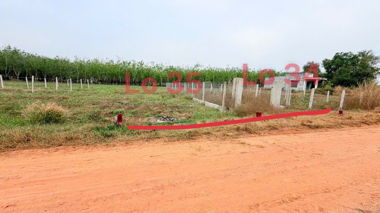 Đất nền Đức Hòa, Long An 50m² - Sổ đỏ chính chủ, chỉ 179 triệu!