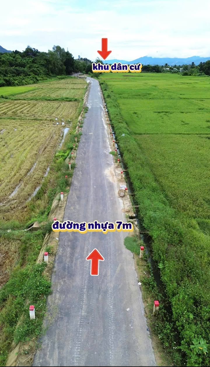 Đất nền Suối Cát Cam Lâm 1000m² - Sổ đỏ chính chủ!