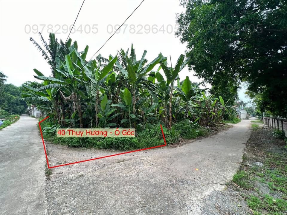 Đất nền Thụy Hương, Chương Mỹ 40m² - Đường to ô tô tận đất!