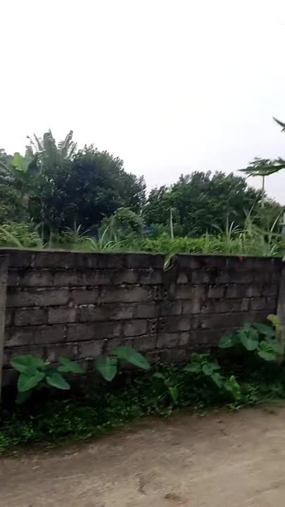 Đất nền Thanh Hối, Tân Lạc 72m² thổ cư - Tiềm năng tăng giá!