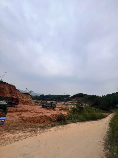 Đất nền Phổ Yên, Thái Nguyên 12160m² - Sổ đỏ chính chủ!