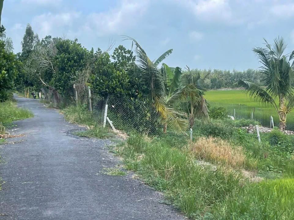 Đất vườn Hưng Thạnh, Tháp Mười 79256m² - Nghỉ dưỡng lý tưởng!