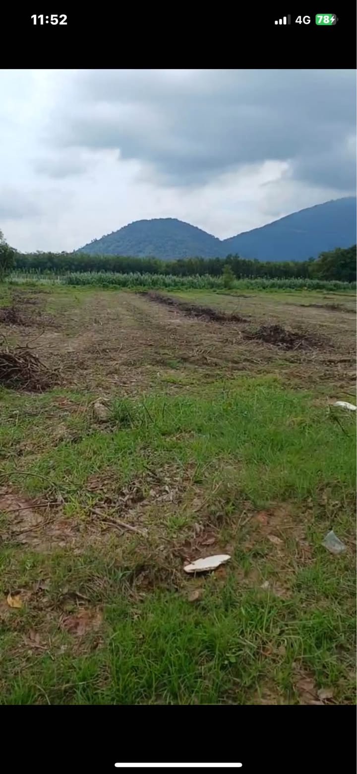 Đất Mặt Tiền 1320m² Tân Biên, Tây Ninh - Tách Sổ, Giá Đầu Tư 1.59 Tỷ